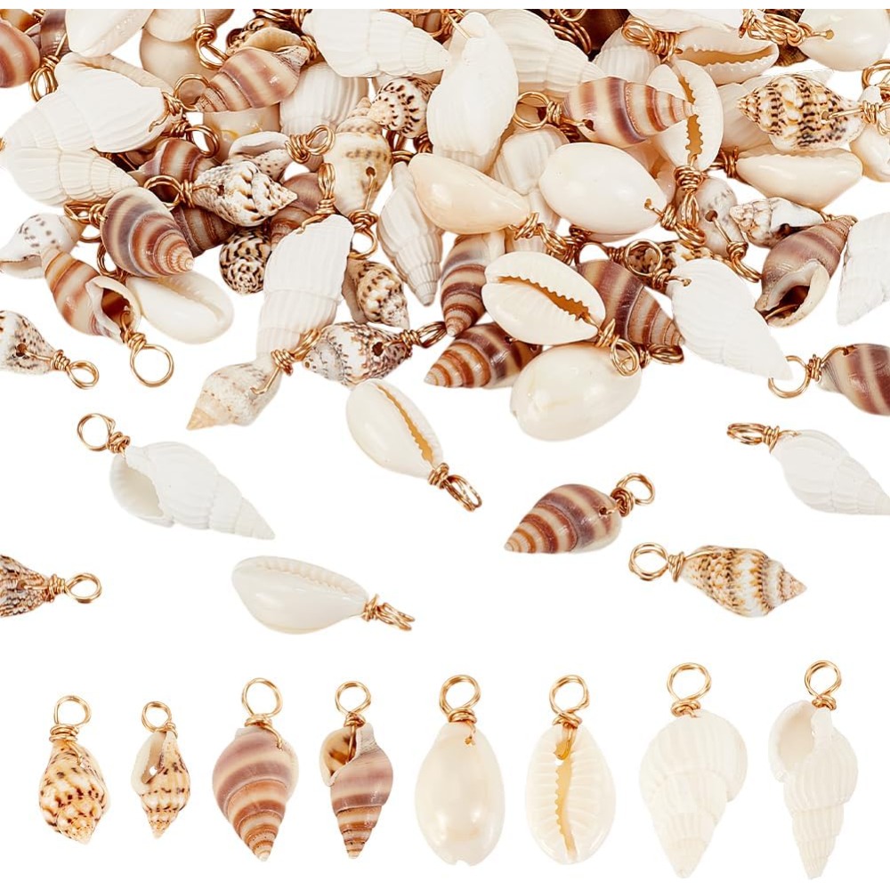 Jewelry Making Kits - 100 adet 4 Stilleri Doğal Kabuk